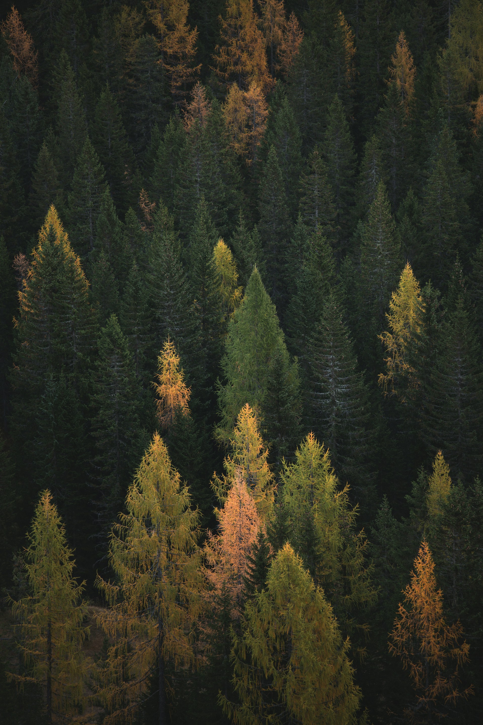 Drone Footage